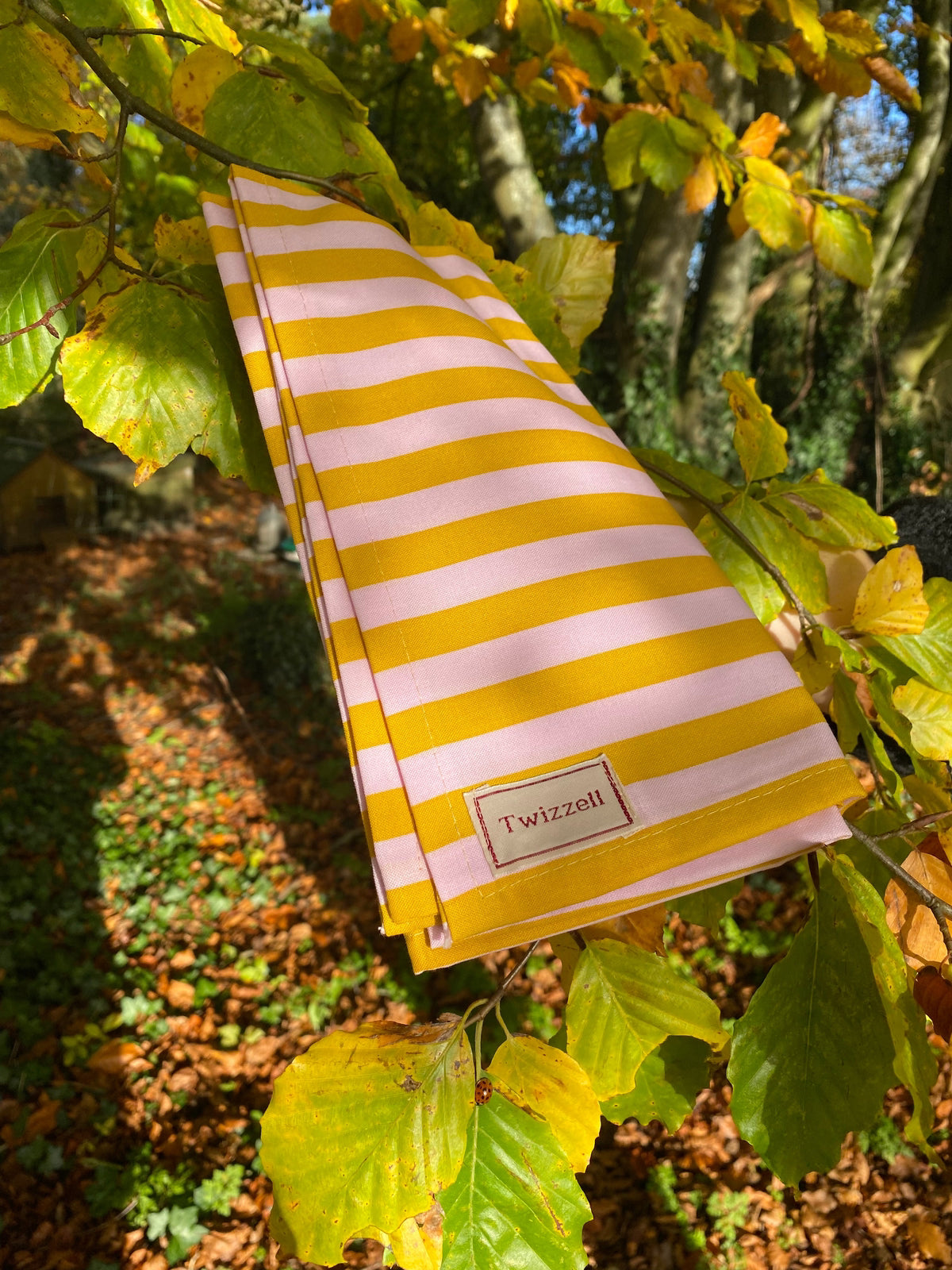 Napkins Set of 4 - Mustard and Pink Stripe